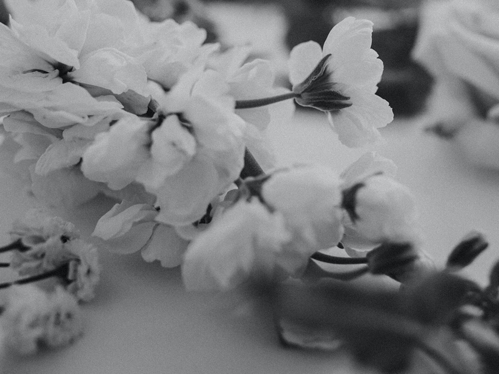 Restauracja Hotelu Iskierka Business & Spa w Mielcu – Stypy konsolacje